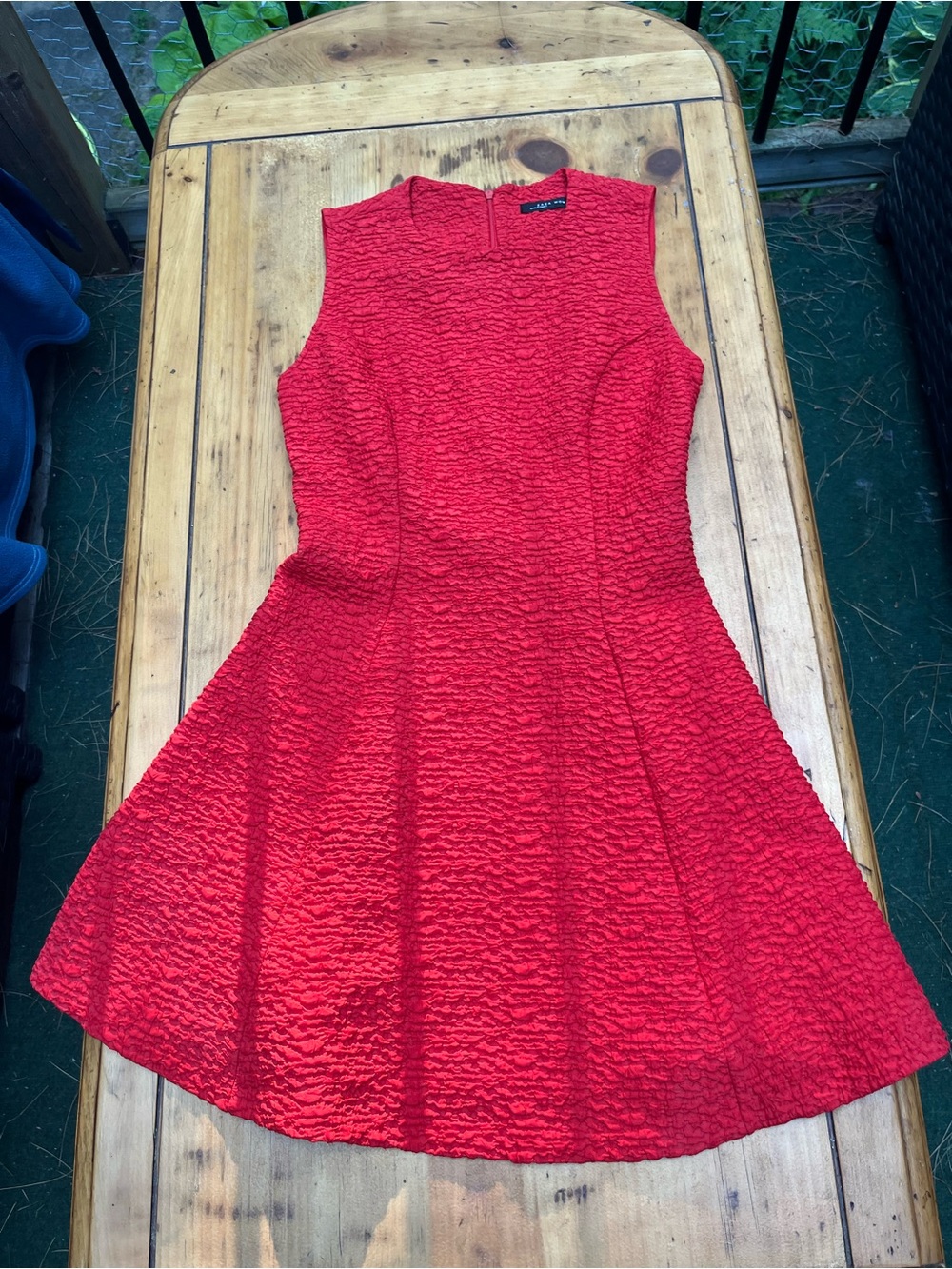 Zara Red Textured Sleeveless Fit-and-Flare Mini Dress